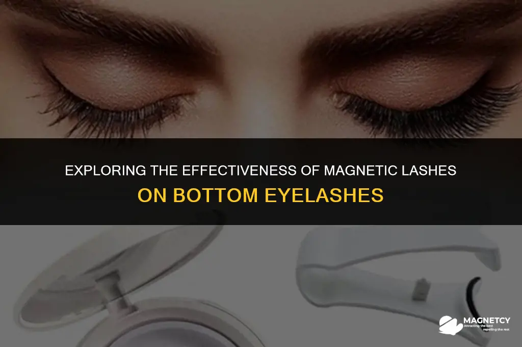 do magnetic lashes work on bottom eyelashes