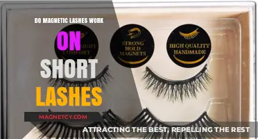 Enhancing Short Lashes: The Truth About Magnetic Lash Extensions