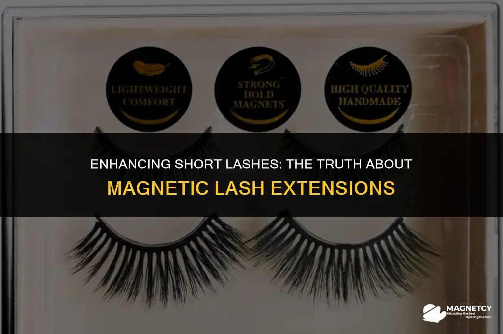 do magnetic lashes work on short lashes