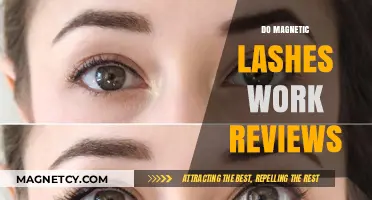 Exploring the Effectiveness of Magnetic Lashes: A Comprehensive Review