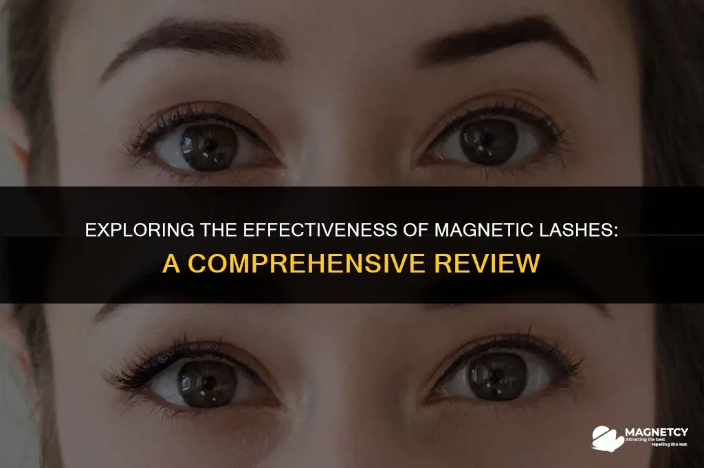 do magnetic lashes work reviews