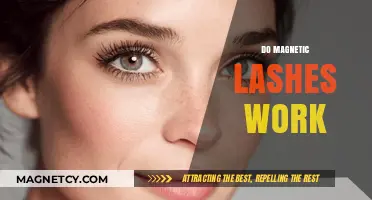 Exploring the Effectiveness of Magnetic Lashes: A Comprehensive Guide