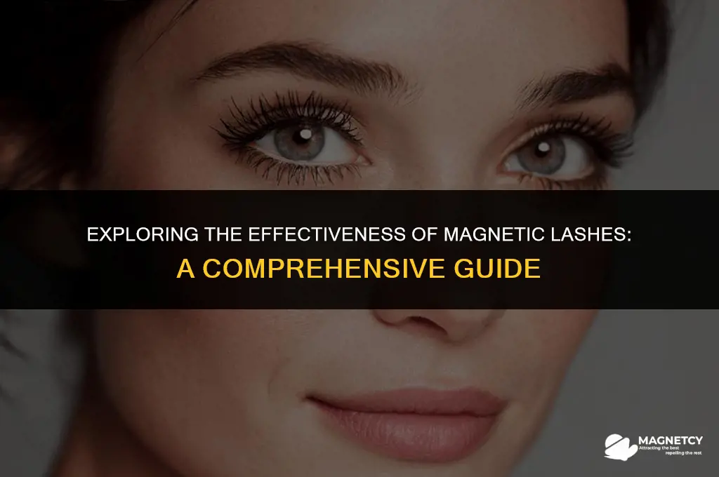 do magnetic lashes work