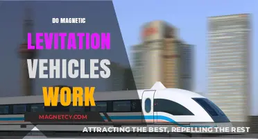Exploring the Efficiency and Future of Magnetic Levitation Vehicles
