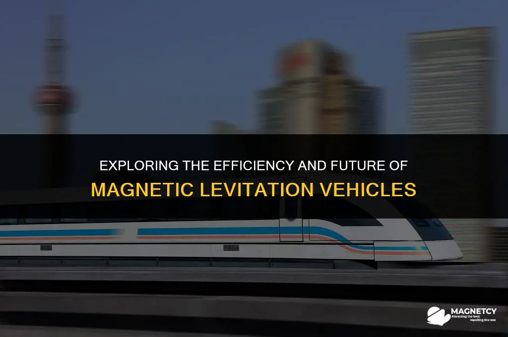 do magnetic levitation vehicles work