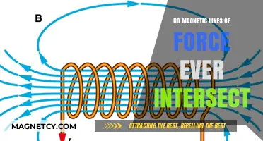 Exploring the Immutable Nature of Magnetic Field Lines