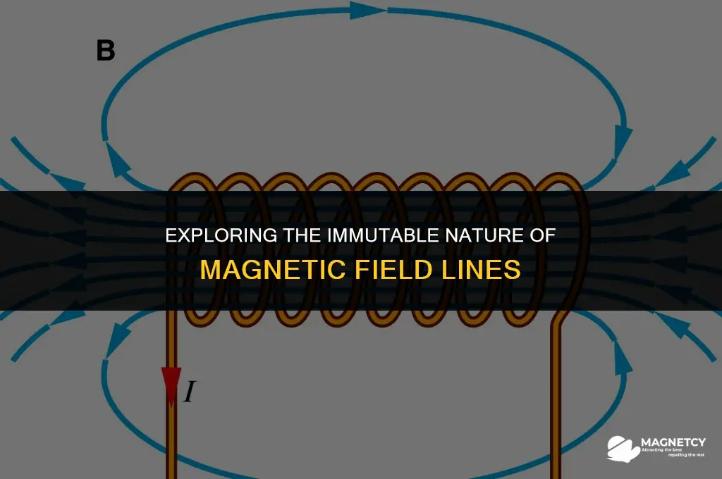do magnetic lines of force ever intersect