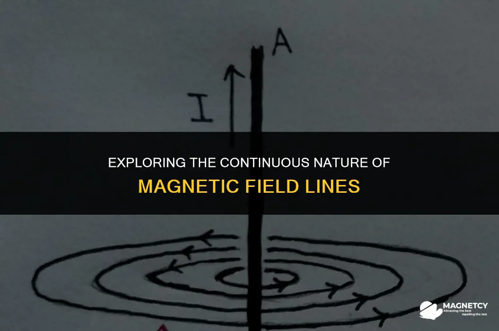do magnetic lines of force form a complete loop