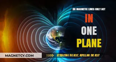 Exploring the Multidimensional Nature of Magnetic Field Lines