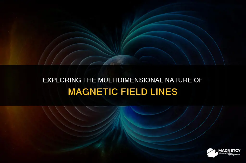 do magnetic lines only act in one plane