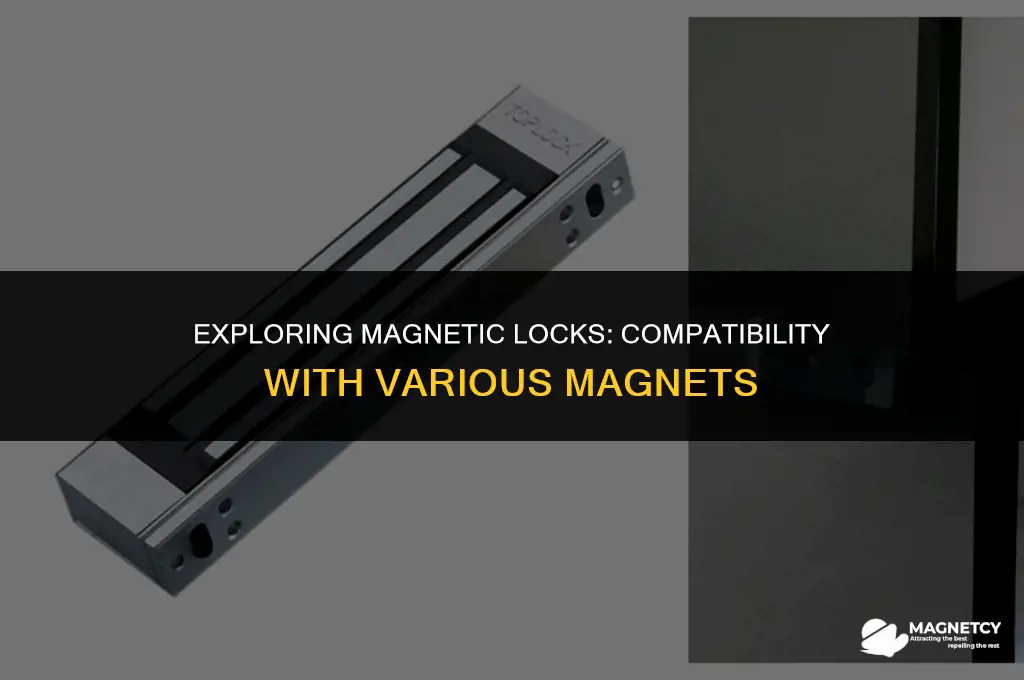 do magnetic locks work with any magnet