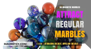 Do Magnetic Marbles Attract Regular Ones? Exploring Marble Interactions