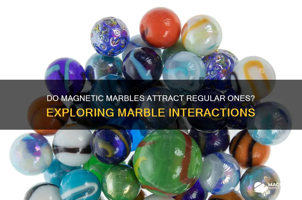 do magnetic marbles attract regular marbles