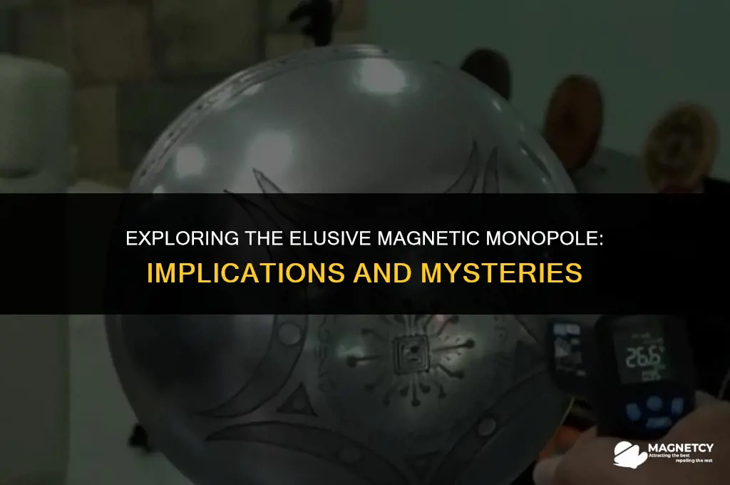 do magnetic monopoles exist what does that imply