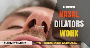 Exploring the Effectiveness of Magnetic Nasal Dilators: A Comprehensive Review
