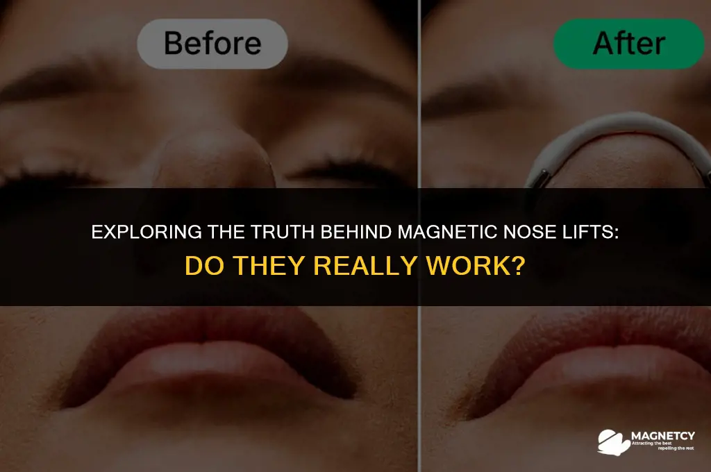 do magnetic nose lips really work