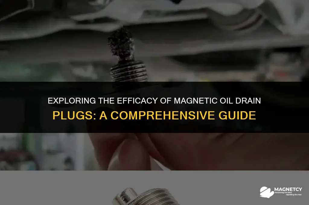 do magnetic oil drain plugs do anything