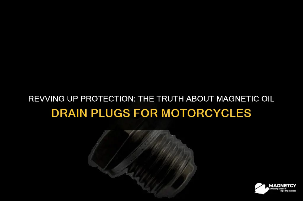do magnetic oil drain plugs work motorcycle
