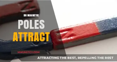 Do Magnetic Poles Attract? Unraveling the Science Behind Magnetic Forces