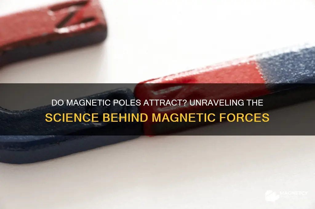 do magnetic poles attract