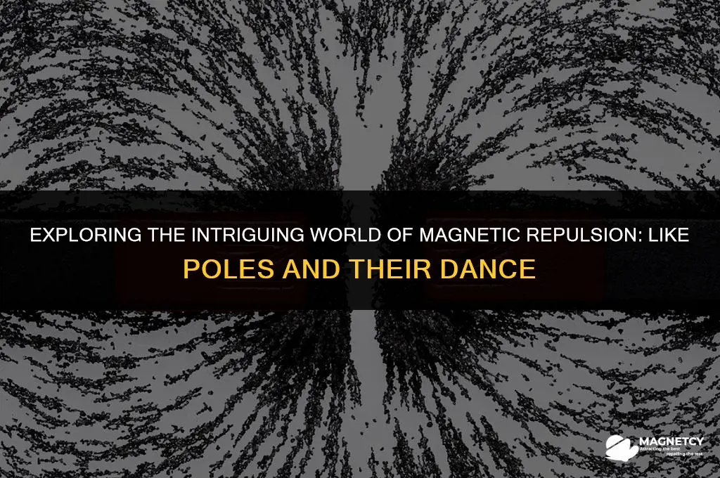 do magnetic poles that are alike repel each other