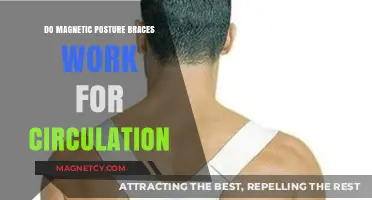 Boosting Circulation: The Truth About Magnetic Posture Braces