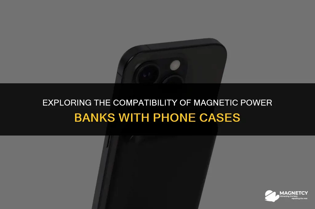 do magnetic power banks work with case
