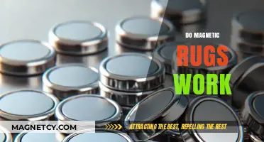 Unveiling the Truth: Do Magnetic Rugs Really Work?
