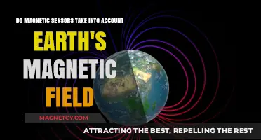 Exploring Magnetic Sensors: Accounting for Earth's Magnetic Field