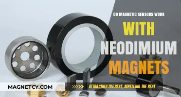 Exploring the Compatibility of Magnetic Sensors with Neodymium Magnets