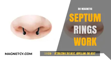 Exploring the Effectiveness of Magnetic Septum Rings: Facts and Myths