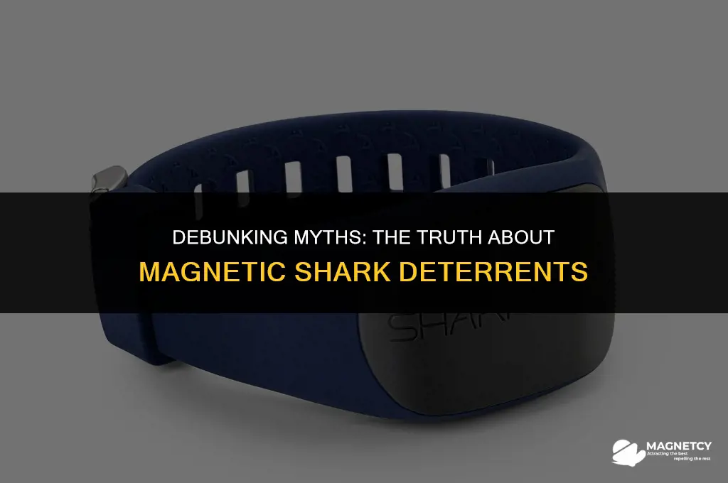 do magnetic shark deterrents work