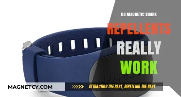 Debunking Myths: The Truth About Magnetic Shark Repellents