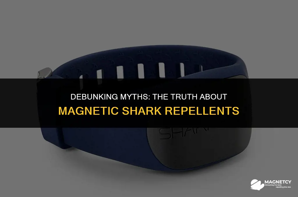 do magnetic shark repellents really work