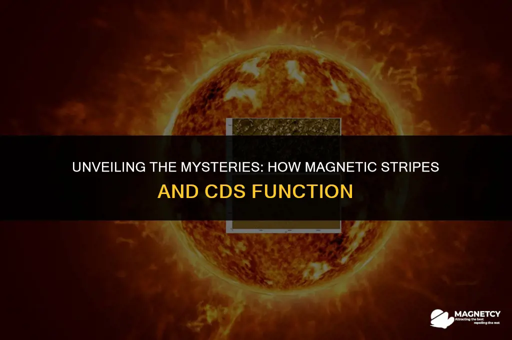 do magnetic stripes and cds work the same way