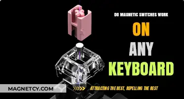 Exploring Magnetic Switch Compatibility Across Keyboard Types