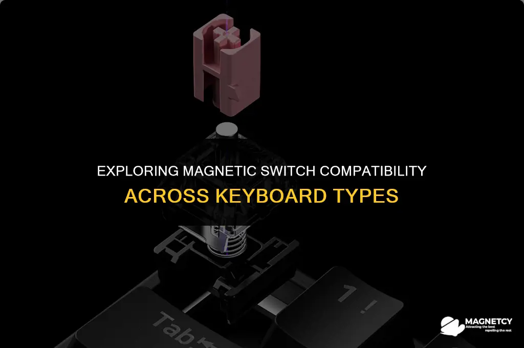 do magnetic switches work on any keyboard