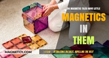Exploring the Tiny Magnets Inside Magnetic Tiles: A Deep Dive
