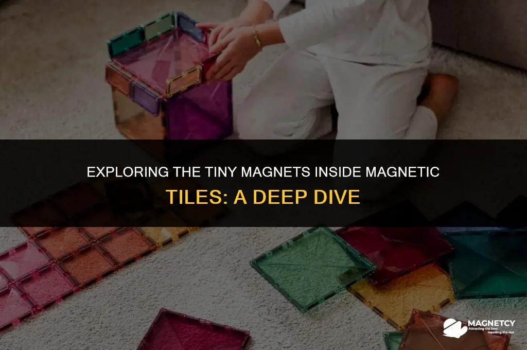 do magnetic tiles have little magnetics in them