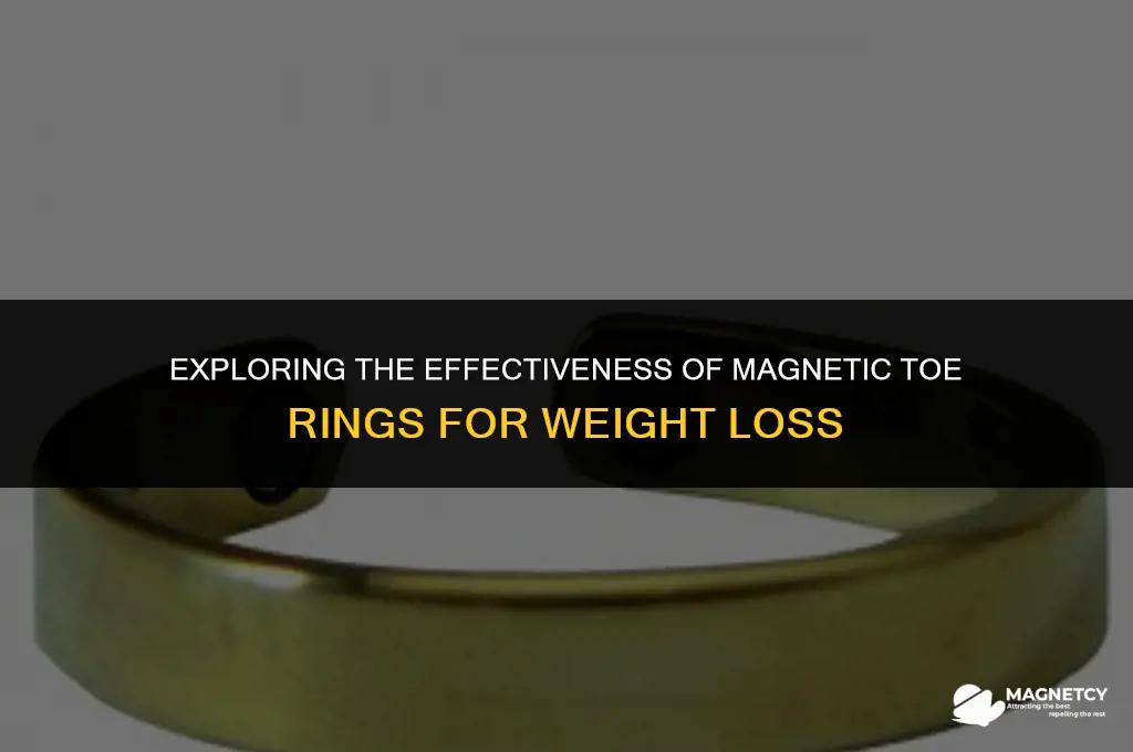 do magnetic toe rings for weight loss work
