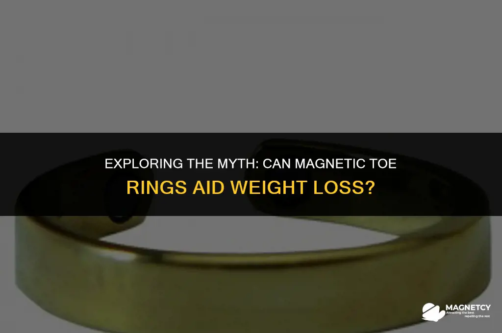 do magnetic toe rings help you lose weight