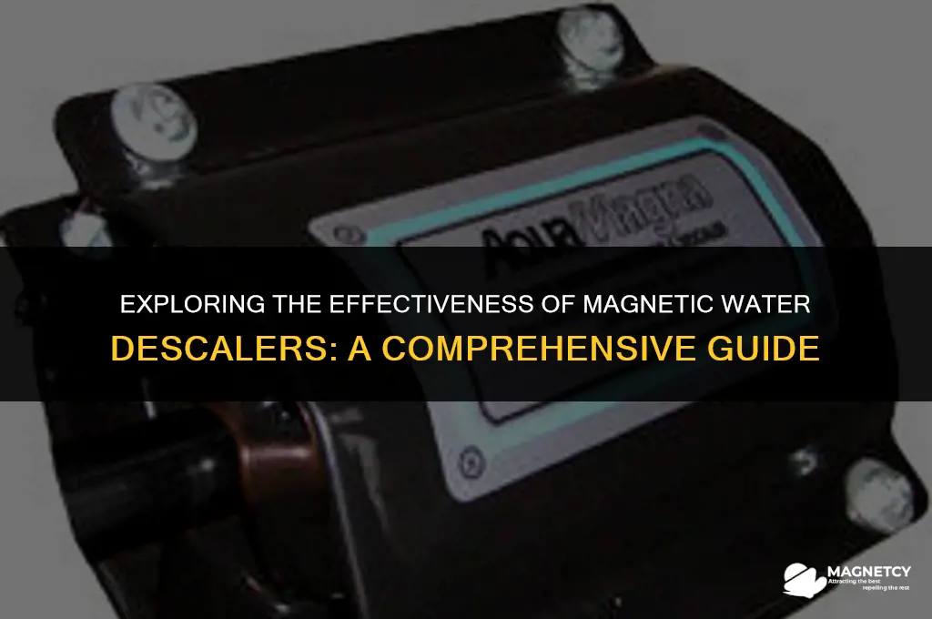 do magnetic water descalers work