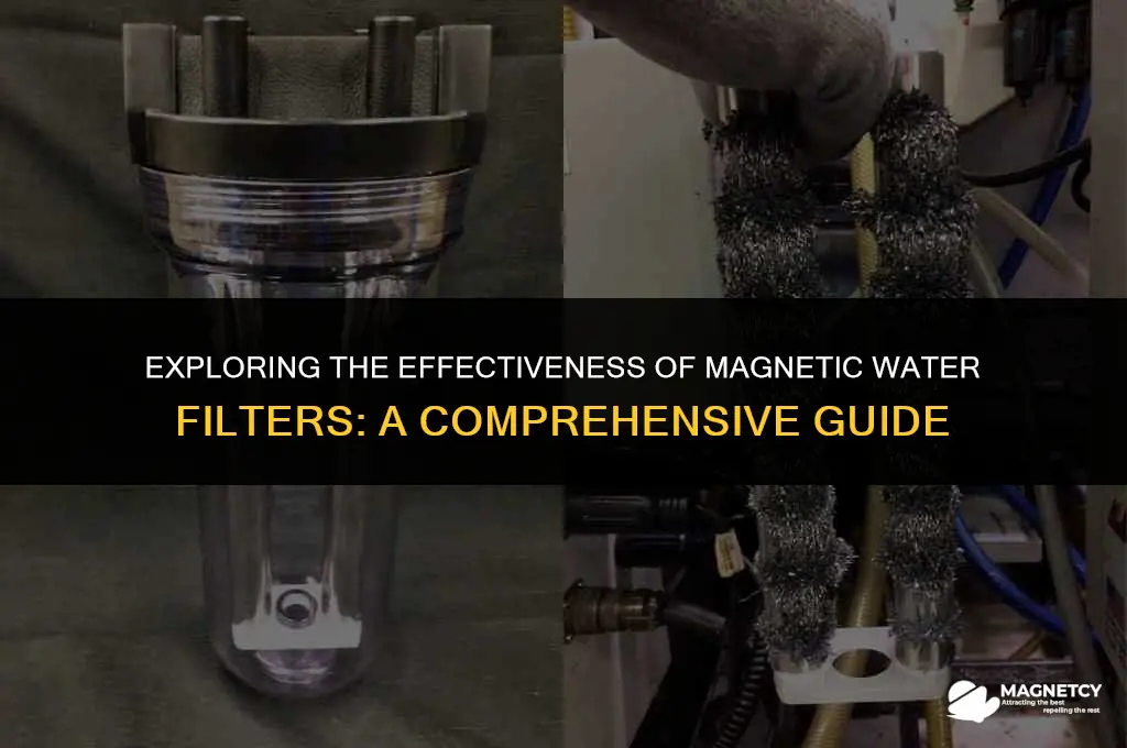 do magnetic water filters work