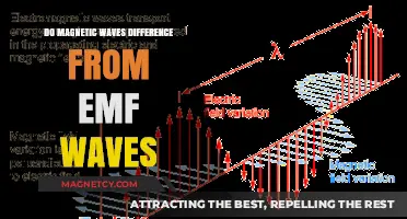 Understanding the Distinctions: Magnetic Waves vs EMF Waves