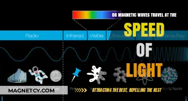 Unraveling the Mystery: Do Magnetic Waves Travel at Light Speed?