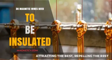 Unveiling the Truth: Do Magnetic Wires Really Need Insulation?