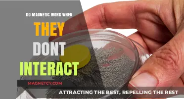 Exploring the Hidden Forces: Do Magnets Work Without Interaction?