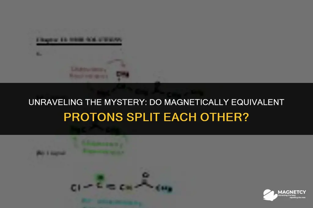 do magnetically equivalent protons split each other