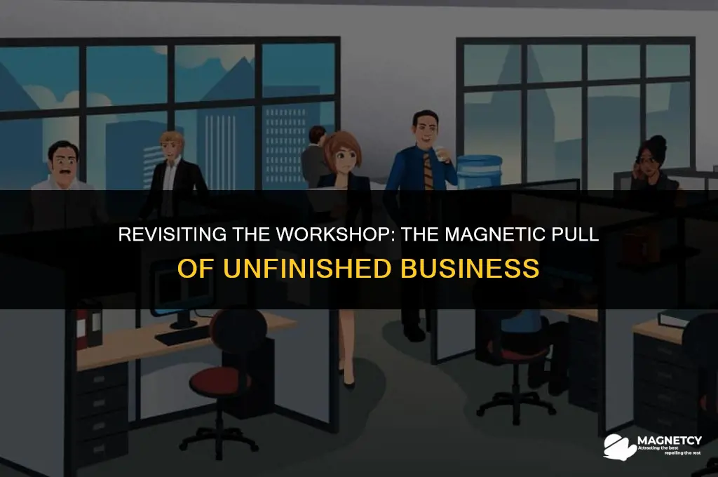 do magnetics go back into the shop