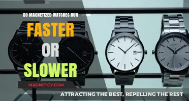 Timekeeping and Magnetism: Do Magnetized Watches Run Faster or Slower?